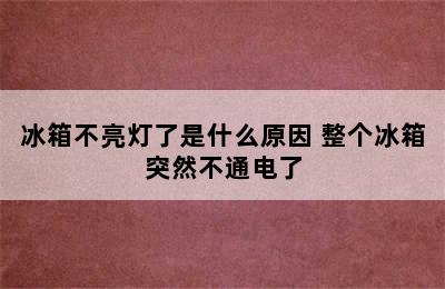 冰箱不亮灯了是什么原因 整个冰箱突然不通电了